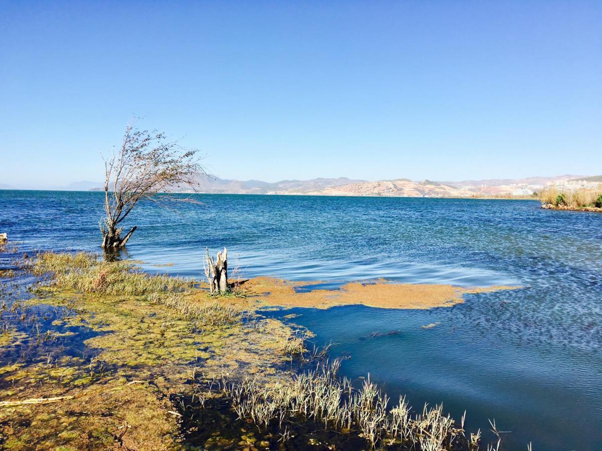 Ning-House Lake View Inn Dali  Dış mekan fotoğraf